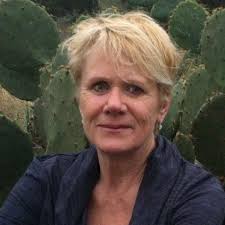 Unstoppable Voters Fellows