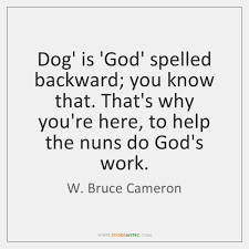 And just as in colors, where there is god, there is no dog, and vice versa, thus there is no god on earth. Dog Is God Spelled Backward You Know That That S Why You Re Here Storemypic