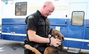 How to become a police officer in utah. Become A Police Officer City Of Provo Ut