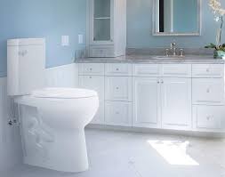 Below are some of the toilet stools that are available on the market and ones that will. 5 Best Handicap Toilets Of 2021 Comfortable Toilets For Persons With A Disability Shop Toilet