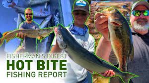 They are not suitable for navigation. Lake Erie Walleye Reports Drummond Island Tawas More Hot Bite Fishing Report July 14 Youtube