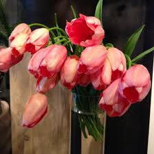 Winston flowers dirba šiose srityse: Winston Flowers Greenwich Ct