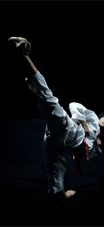 Taekwondo player in mid air performing the strike, man, male. Best Taekwondo Iphone Hd Wallpapers Ilikewallpaper