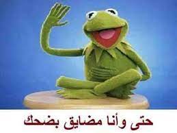 صور و رمزيات الضفدع كيرميت مضحك نهفات صورة ٤ crazy funny memes fun quotes funny mickey cartoons