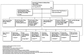 office of the executive vice president for medical affairs