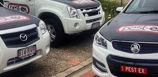 The eggs hatch to produce curved white larvae with brown heads and three pairs of legs. Examples Types Of Pests That Can Enter Your Home 1 Pest Control