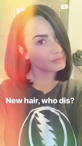 Pin By Ryan Carpenter On Demi Demi Lovato Hair New Hair Demi Lovato