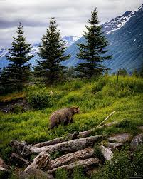 Sam A. (@ashymore_photography) • Instagram photos and videos