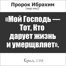 сильная дуа от сглаза зависти колдовства болезни порчи джинов Moj Gospod Tot Kto Daruet Zhizn I Umershvlyaet Koran 2 Sura Al Bakara Korova 258 Ayat Islam Koran Alla Nebolshie Citaty Musulmanskie Citaty Ayaty