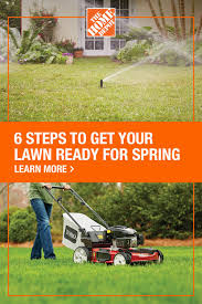 6 Steps To Get Your Lawn Ready For Spring In 2020 Spring Lawn Care Lawn Care Lawn Care Tips