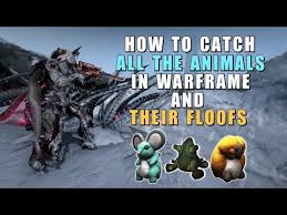 The warframe hound companions are a new type of unit that were recently added to the game. Conservation Guide To All Open Worlds Plains Of Eidolon Orb Vallis Cambion Drift Warframe Youtube
