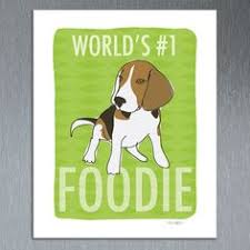 Glass canisters | crate and barrel. Doggology Doggology Profile Pinterest