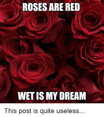 Thank you for all your love and support this year, i couldn't have gotten through it all without you! Red Rose Reddit