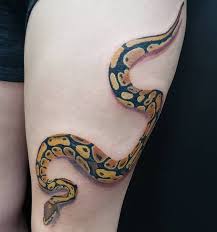 A boa constrictor on the within of her left ankle. 1st Session On This Ball Python Also Known As The Royal Python Will Be Adding More Details After It Heals Mostly Highlig Python Tattoo Tattoos Reptile Tattoo