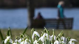 Der meteorologische frühlingsanfang ist jedes jahr am 1. Wann Ist Jetzt Eigentlich Fruhlingsanfang Frankfurt