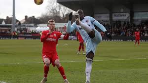 Evindeki kediye tekme atan West Ham oyuncusu Fransız Kurt Zouma, özür  diledi | Euronews