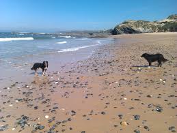 Deze appartementen aan het strand liggen aan de kust van alentejo, in vila nova de milfontes. Naturpark Strand Meer Weisse Dorfer