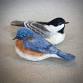 FELTED BLUEBIRD OR CHICKADEE WORKSHOP event in Exeter, NH