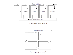 Biasanya kolam renang menjadi salah satu fasilitas yang identik dengan rumah megah dan besar. Cara Membuat Kolam Ikan Alam Tani