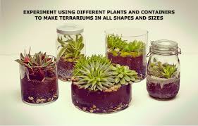 Garden Decoration Garden Decor Build A Terrarium Terrarium Plants