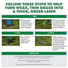 Expect to see grass growing at a. Scotts Turf Builder Thick R Lawn Sun Shade 3 In 1 Lawn Fertilizer Seed Soil Improver For A Thicker Greener Lawn Seeds Up To 4 000 Sq Ft 40 Lb In
