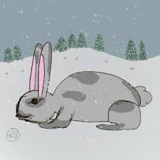 Image result for Nicolasia