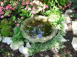 Little Birdbath In Shade Garden Jardins Jardin Zen Garden Party