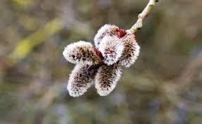 05:11 — 21 марта 2020. Vzi54dvzmryofm