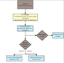 Pdf Small Cell Lung Cancer Limited Stage Semantic Scholar