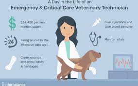 A good job description attracts the most qualified candidates. Veterinary Technician Job Description Salary Skills More