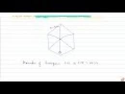 A Regular Hexagon Has A Side 8 Cm Determine Its Perimeter And Area Youtube