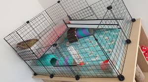 My five piggies live there an enjoy the new space. Building A C C Guinea Pig Cage