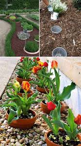 20 Inspiring And Creative Gardening Ideas Easy Garden Plants Budget Garden