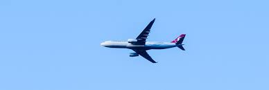 Dans les deux cas, l'organisateur doit rembourser intégralement les sommes payées dans les meilleurs délais et en tout état de cause dans les 14 jours au plus tard après l'annulation du contrat. Se Faire Rembourser Un Billet D Avion Remboursement Indemniflight