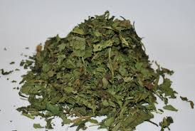 Is your lawn a sea of dandelion flowers? Dried Dandelion Leaves Nature S Own Pets