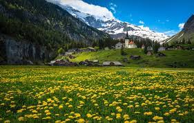Доломитовые альпы австрия шале природа 1920х1080 швейцария швейцария лес kulum швейцария горы лес озеро швейцария озеро блуа швейцария природа швейцарии. Kartinka Dlya Telefona Shvejcariya Priroda Gory Oduvanchiki Domiki