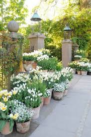 68 Beautiful French Cottage Garden Design Ideas Roundecor Plants French Cottage Garden Garden Containers