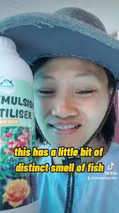 Home made fertilizer but don't try at home unless you are very sure,  #tranalicia #aumgarden