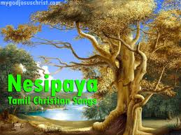 Christian Songs And Stuff Nesipaya Tamil Christian Songs Free Download