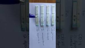 How To Take Apart A Pregnancy Test