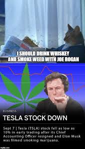 So far in 2021, that pattern has reversed itself. Elon Musk Memes Gifs Imgflip