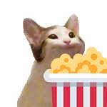 Kitten funny dog cute cats animals meme whiskers puppy. Popcatpopcorn Discord Emoji