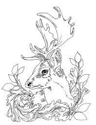 Search through 623,989 free printable colorings at getcolorings. Deer Adult Coloring Pages Printable Download Jpg Etsy Coloring Home