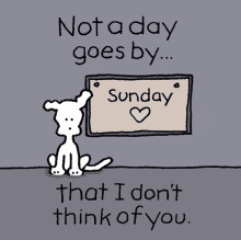 Giphy is how you search, share, discover, and create gifs. Thinking Of You Gifs Tenor