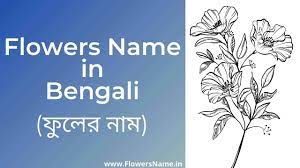 All flowers name in bengali. Flowers Name In Bengali 25 à¦« à¦² à¦° à¦¨ à¦® Flowers Name