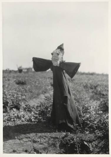 A Terrifying Scarecrow — The House of Good Fortune