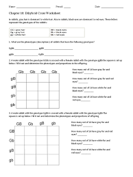 Fellas, are you currently a one who are tricky to take care of and manage the month to month fees? Dihybrid Worksheet Zygosity Dominance Genetics