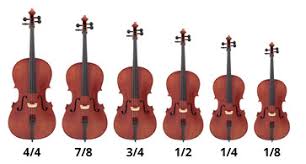 What Size Cello Do I Need Hidersine Orchestral