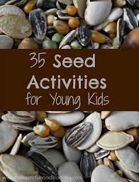 🌹 these planting a seed worksheet will help kindergartners practice sequencing with how plants grow worksheet pages for spring and summer learning. 35 Seed Activities For Young Kids