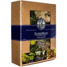 Perfect for collectors, crafters, gardeners, and beyond! Ultimate Fairy Garden Guide What Are They And How To Make Your Own